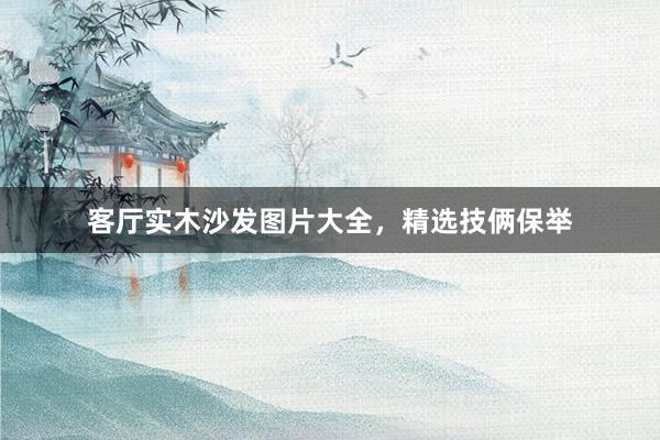 客厅实木沙发图片大全，精选技俩保举