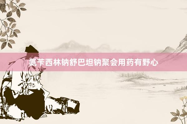 氨苄西林钠舒巴坦钠聚会用药有野心